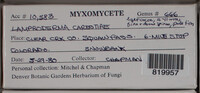 Image Associated With the Occurence